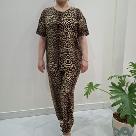 ست خانگی