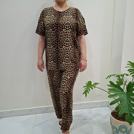 ست خانگی